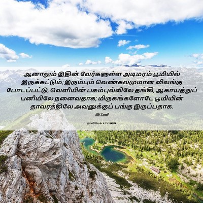 Picture 06 - தானியேல் 4:15 TAMIRV - ஆனாலும் இதின் - Bible Verse Picture