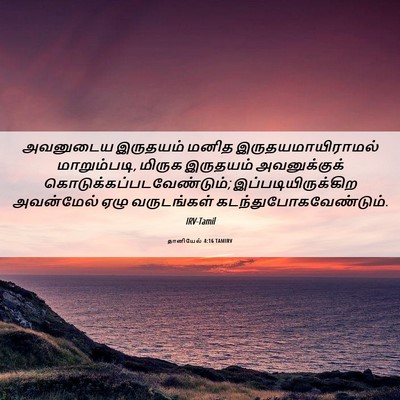 Picture 06 - தானியேல் 4:16 TAMIRV - அவனுடைய இருதயம் - Bible Verse Picture
