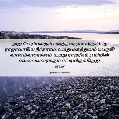 Picture 06 - தானியேல் 4:22 TAMIRV - அது பெரியவரும் - Bible Verse Picture
