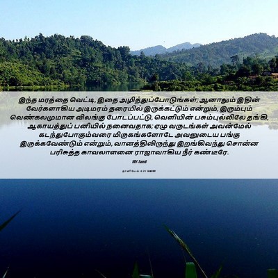 Picture 06 - தானியேல் 4:23 TAMIRV - இந்த மரத்தை - Bible Verse Picture