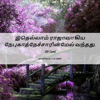 Picture 06 - தானியேல் 4:28 TAMIRV - இதெல்லாம் - Bible Verse Picture
