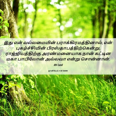 Picture 06 - தானியேல் 4:30 TAMIRV - இது என் - Bible Verse Picture