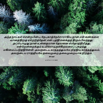 Picture 06 - தானியேல் 4:34 TAMIRV - அந்த நாட்கள் - Bible Verse Picture
