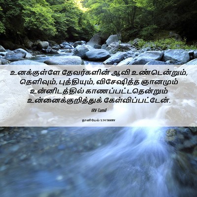 Picture 06 - தானியேல் 5:14 TAMIRV - உனக்குள்ளே - Bible Verse Picture