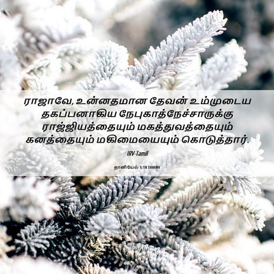 Picture 06 - தானியேல் 5:18 TAMIRV - ராஜாவே, உன்னதமான - Bible Verse Picture