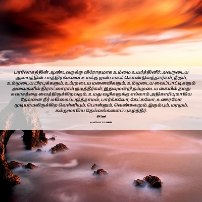 Picture 06 - தானியேல் 5:23 TAMIRV - பரலோகத்தின் - Bible Verse Picture