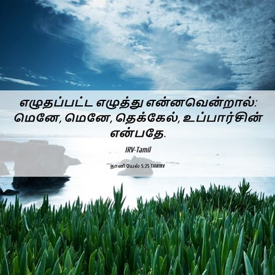 Picture 06 - தானியேல் 5:25 TAMIRV - எழுதப்பட்ட - Bible Verse Picture
