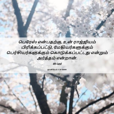 Picture 06 - தானியேல் 5:28 TAMIRV - பெரேஸ் என்பதற்கு, - Bible Verse Picture