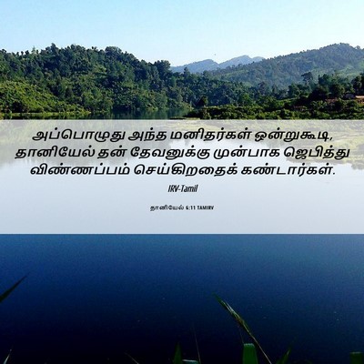 Picture 06 - தானியேல் 6:11 TAMIRV - அப்பொழுது அந்த - Bible Verse Picture