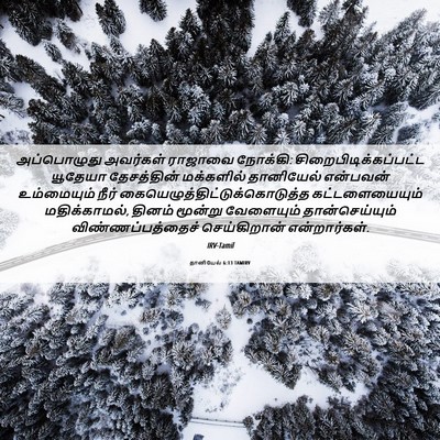 Picture 06 - தானியேல் 6:13 TAMIRV - அப்பொழுது அவர்கள் - Bible Verse Picture