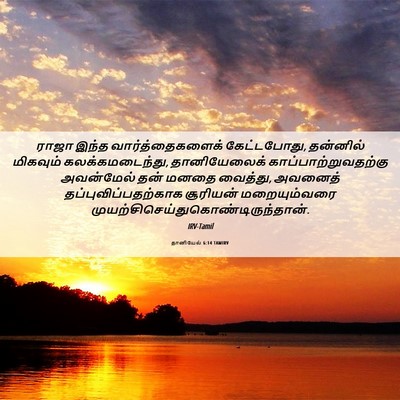 Picture 06 - தானியேல் 6:14 TAMIRV - ராஜா இந்த - Bible Verse Picture