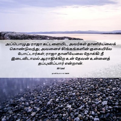 Picture 06 - தானியேல் 6:16 TAMIRV - அப்பொழுது ராஜா - Bible Verse Picture