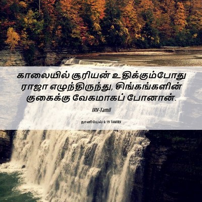 Picture 06 - தானியேல் 6:19 TAMIRV - காலையில் சூரியன் - Bible Verse Picture