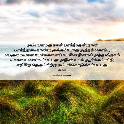 Picture 06 - தானியேல் 7:11 TAMIRV - அப்பொழுது நான் - Bible Verse Picture