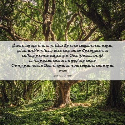Picture 06 - தானியேல் 7:21 TAMIRV - நீண்ட - Bible Verse Picture