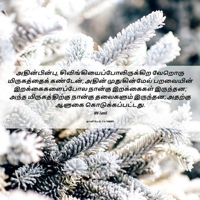 Picture 06 - தானியேல் 7:6 TAMIRV - அதின்பின்பு, - Bible Verse Picture