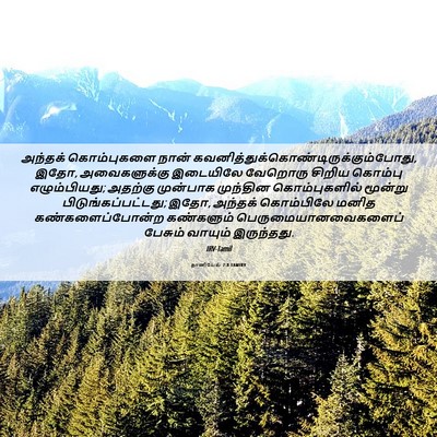Picture 06 - தானியேல் 7:8 TAMIRV - அந்தக் கொம்புகளை - Bible Verse Picture