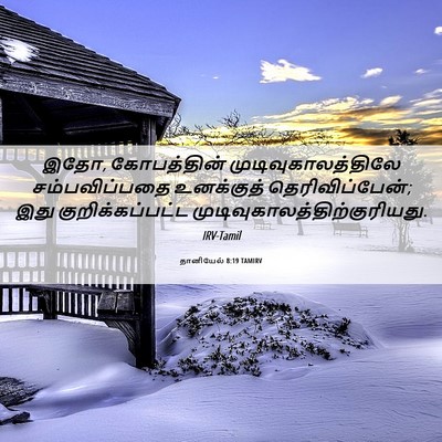 Picture 06 - தானியேல் 8:19 TAMIRV - இதோ, கோபத்தின் - Bible Verse Picture