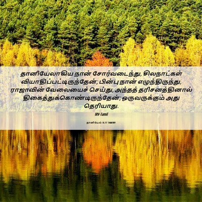 Picture 06 - தானியேல் 8:27 TAMIRV - தானியேலாகிய நான் - Bible Verse Picture