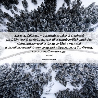 Picture 06 - தானியேல் 8:4 TAMIRV - அந்த ஆட்டுக்கடா - Bible Verse Picture