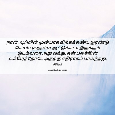 Picture 06 - தானியேல் 8:6 TAMIRV - நான் ஆற்றின் - Bible Verse Picture