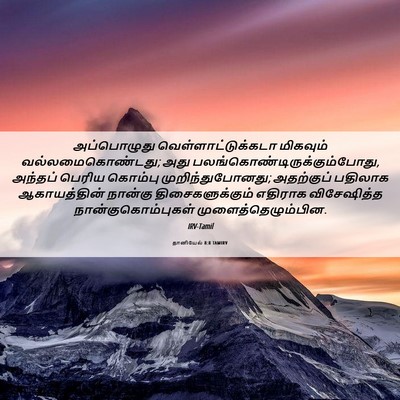 Picture 06 - தானியேல் 8:8 TAMIRV - அப்பொழுது - Bible Verse Picture