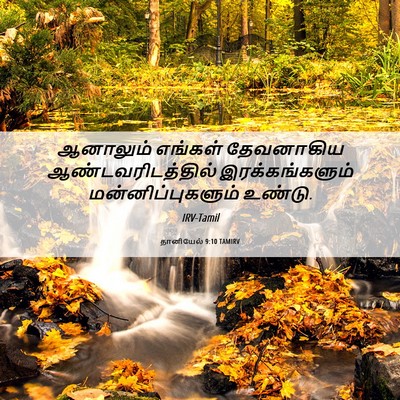 Picture 06 - தானியேல் 9:10 TAMIRV - ஆனாலும் எங்கள் - Bible Verse Picture