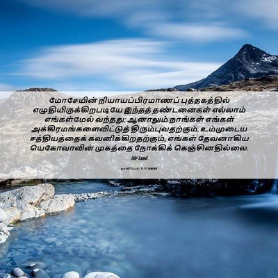 Picture 06 - தானியேல் 9:13 TAMIRV - மோசேயின் - Bible Verse Picture