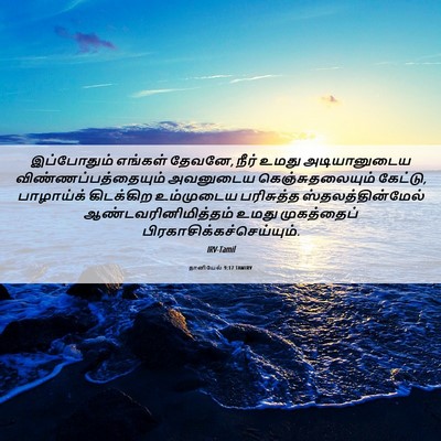 Picture 06 - தானியேல் 9:17 TAMIRV - இப்போதும் எங்கள் - Bible Verse Picture