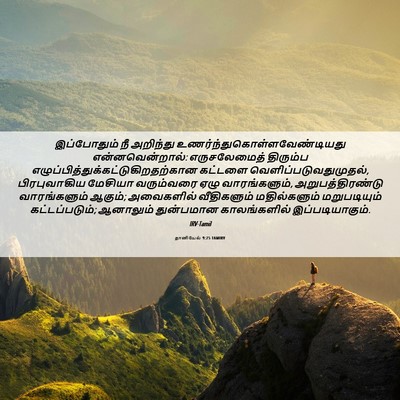 Picture 06 - தானியேல் 9:25 TAMIRV - இப்போதும் நீ - Bible Verse Picture