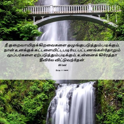 Picture 06 - தீத்து 1:5 TAMIRV - நீ - Bible Verse Picture