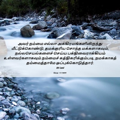 Picture 06 - தீத்து 2:14 TAMIRV - அவர் நம்மை எல்லா - Bible Verse Picture