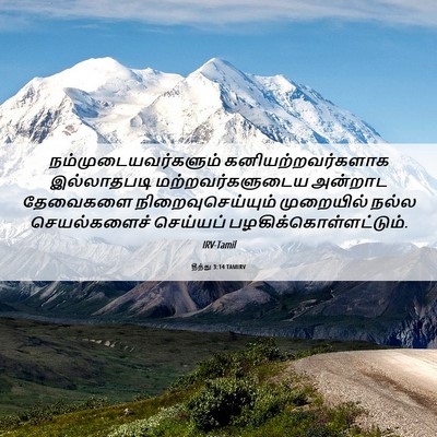 Picture 06 - தீத்து 3:14 TAMIRV - நம்முடையவர்களும் - Bible Verse Picture