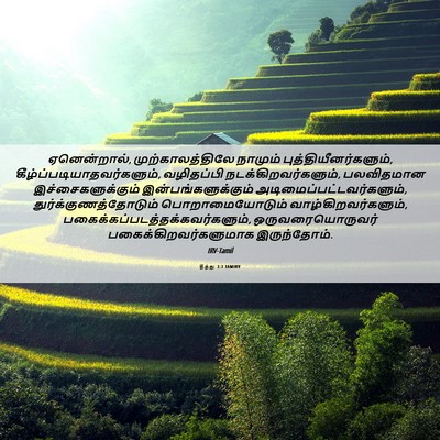 Picture 06 - தீத்து 3:3 TAMIRV - ஏனென்றால், - Bible Verse Picture