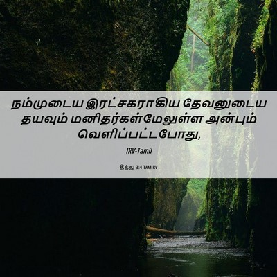 Picture 06 - தீத்து 3:4 TAMIRV - நம்முடைய - Bible Verse Picture