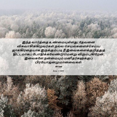 Picture 06 - தீத்து 3:8 TAMIRV - இந்த வார்த்தை - Bible Verse Picture