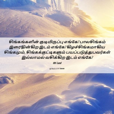 Picture 06 - நாகூம் 2:11 TAMIRV - சிங்கங்களின் - Bible Verse Picture