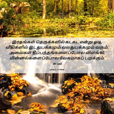 Picture 06 - நாகூம் 2:4 TAMIRV - இரதங்கள் - Bible Verse Picture