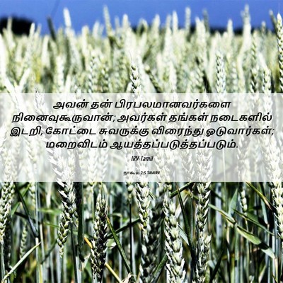 Picture 06 - நாகூம் 2:5 TAMIRV - அவன் தன் - Bible Verse Picture