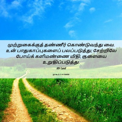 Picture 06 - நாகூம் 3:14 TAMIRV - முற்றுகைக்குத் - Bible Verse Picture