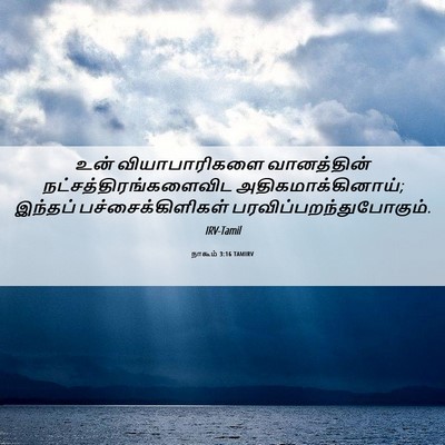Picture 06 - நாகூம் 3:16 TAMIRV - உன் வியாபாரிகளை - Bible Verse Picture