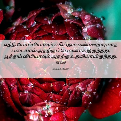 Picture 06 - நாகூம் 3:9 TAMIRV -  - Bible Verse Picture