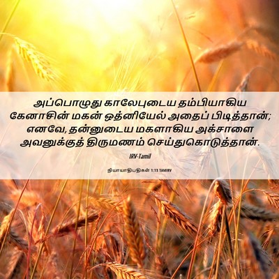 Picture 06 - நியாயாதிபதிகள் 1:13 TAMIRV - அப்பொழுது - Bible Verse Picture