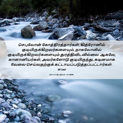 Picture 06 - நியாயாதிபதிகள் 1:30 TAMIRV - செபுலோன் - Bible Verse Picture