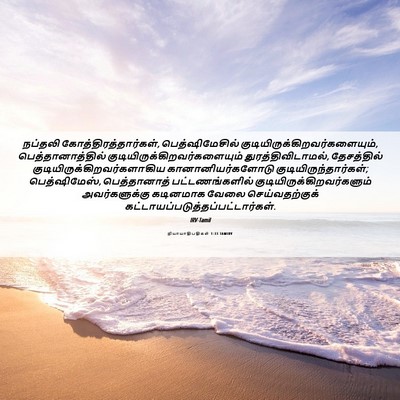 Picture 06 - நியாயாதிபதிகள் 1:33 TAMIRV - நப்தலி - Bible Verse Picture