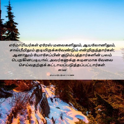 Picture 06 - நியாயாதிபதிகள் 1:35 TAMIRV - எமோரியர்கள் ஏரேஸ் - Bible Verse Picture