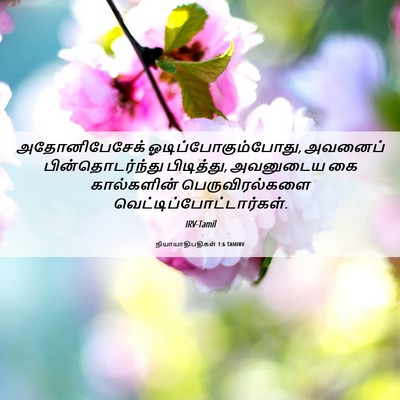 Picture 06 - நியாயாதிபதிகள் 1:6 TAMIRV - அதோனிபேசேக் - Bible Verse Picture