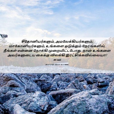 Picture 06 - நியாயாதிபதிகள் 10:12 TAMIRV - சீதோனியர்களும், - Bible Verse Picture