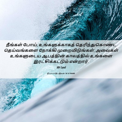 Picture 06 - நியாயாதிபதிகள் 10:14 TAMIRV - நீங்கள் போய், - Bible Verse Picture