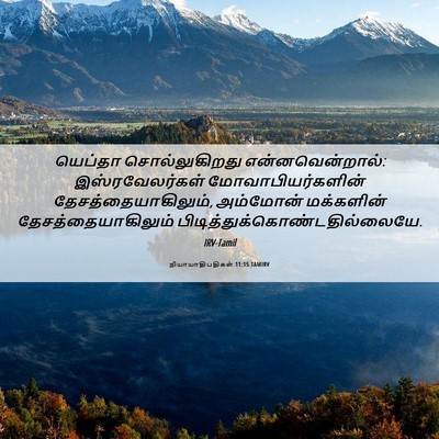 Picture 06 - நியாயாதிபதிகள் 11:15 TAMIRV - யெப்தா - Bible Verse Picture